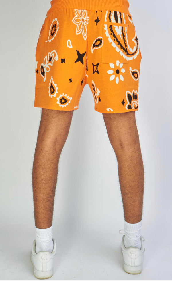 Politics Knit Shorts Orange