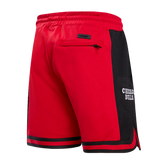 Pro Standard Chicago Bulls Logo Pro Team Short (BCB356012)Red