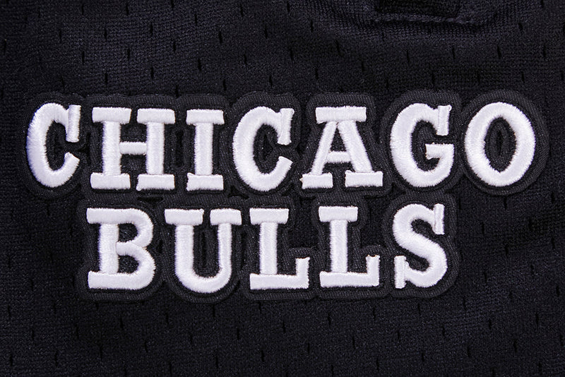 Pro Standard Chicago Bulls Logo Pro Team Short (BCB356012)Red