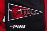 Pro Standard Chicago Bulls Logo Pro Team Short (BCB356012)Red