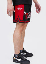 Pro standard Chicago Bulls Retro Classic Dk 2.0 Short (BCB356012)