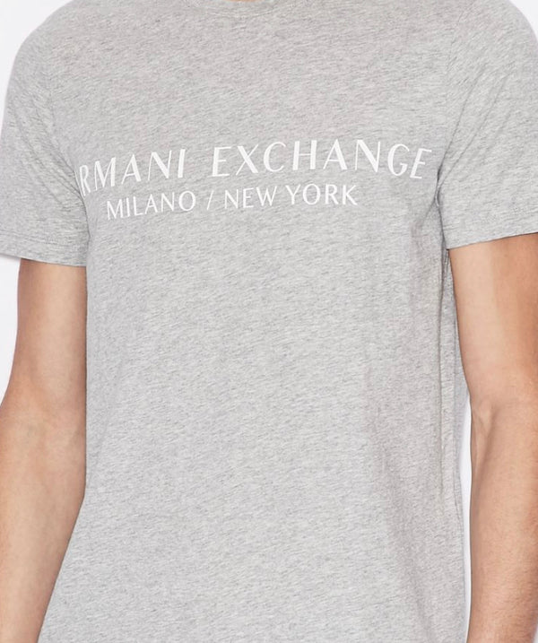 Armani exchange regular fit logo t-shirt (gray)